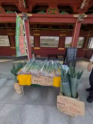 大杉神社 境内社 勝馬神社の{uncategorized: "未分類", other: "その他", undefined: "問題あり", building: "その他建物", grave: "お墓", sacred_gate: "鳥居", guardian: "狛犬", statue: "像", buddha: "仏像", history: "歴史", nature: "自然", garden: "庭園", animal: "動物", pagoda: "塔", temizu: "手水舎", mountain_gate: "山門・神門", sanctuary: "本殿・本堂", subordinate: "末社・摂社", art: "芸術", scenery: "景色", jizo: "地蔵", ema: "絵馬", goshuin: "御朱印", omikuji: "おみくじ", items: "授与品その他", amulet: "お守り", goshuincho: "御朱印帳", eats: "食事", festival: "お祭り", votive_dance: "神楽", shichigosan: "七五三参", wedding: "結婚式", experience: "体験その他", initially: "初詣", around: "周辺", anti_infection: "感染症対策"}