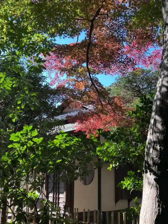 明治神宮(東京都)