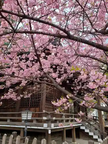 新宿下落合氷川神社(東京都)