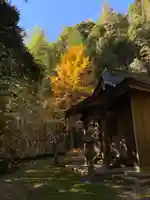 大宮神社(千葉県)