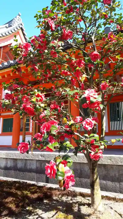 蓮華王院(三十三間堂)(京都府)