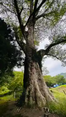 一宮神社(兵庫県)