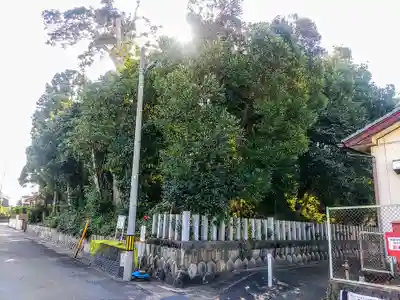 奥津神社の自然