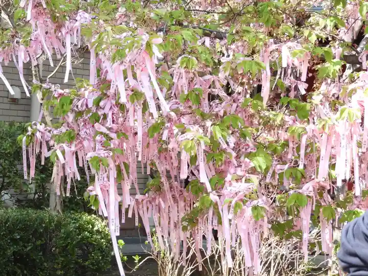桜神宮(東京都)