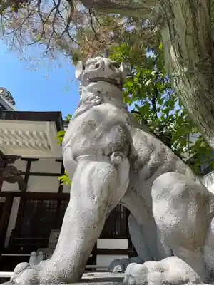 鳥越神社(東京都)