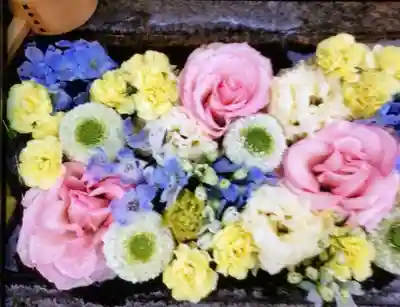 本郷氷川神社(東京都)