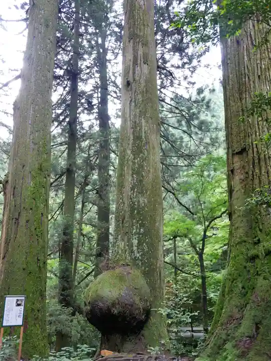 花園神社(茨城県)