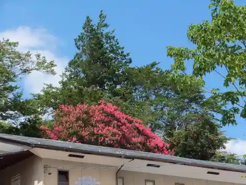 座光如来寺（元善光寺）(長野県)