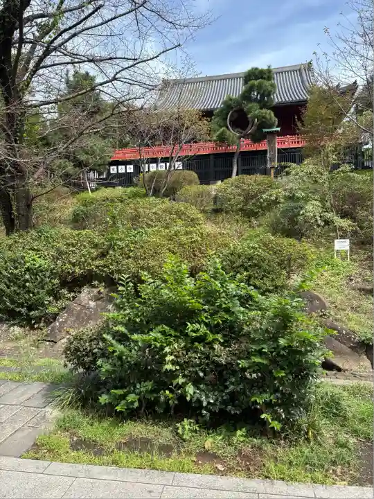 清水観音堂(東京都)