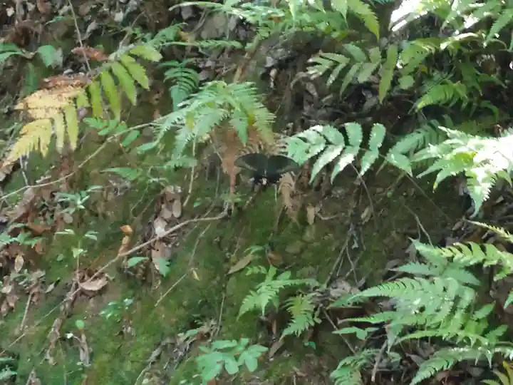 大尾神社(大分県)