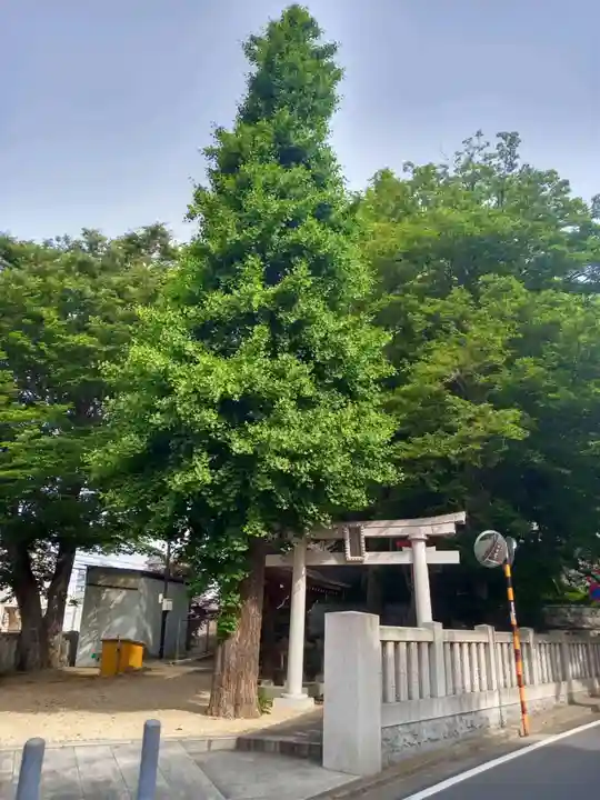 藤森稲荷神社(東京都)