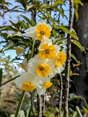 横浜　西方寺(神奈川県)