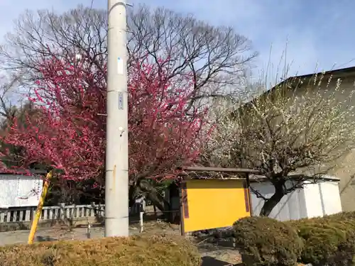 玉諸神社の自然