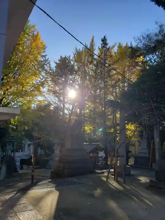 諏訪神社(東京都)
