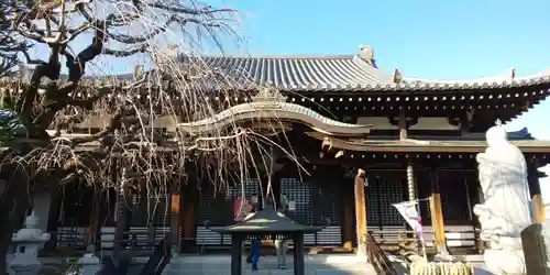 圓福寺の本殿