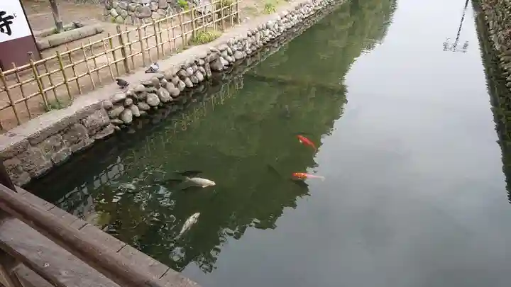 鑁阿寺(栃木県)