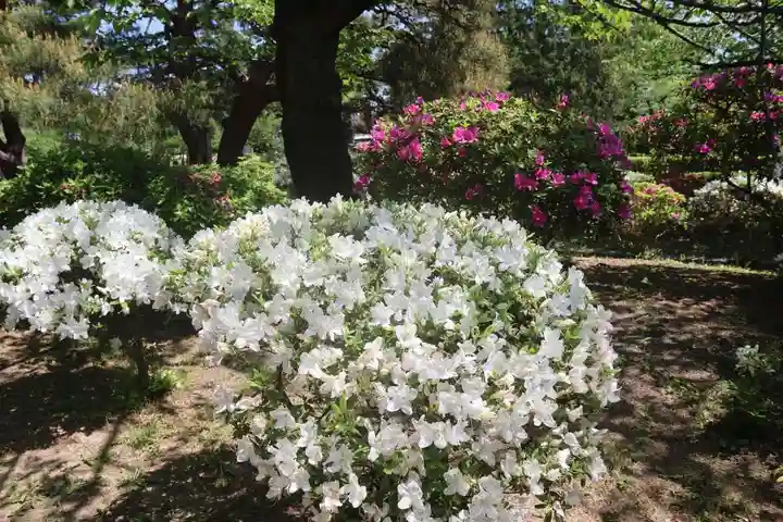 開成山大神宮の庭園