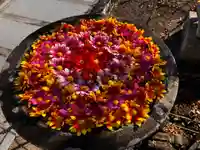 真言宗 善通寺派 薬王寺(香川県)