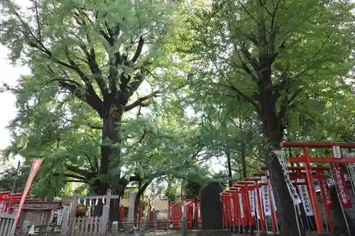 法明寺(東京都)