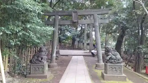 渋谷氷川神社の鳥居