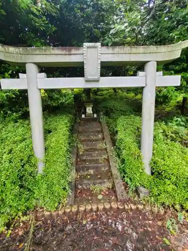 勝姫稲荷神社の鳥居