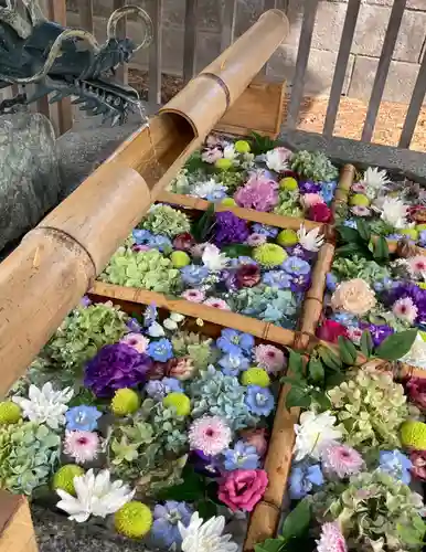 豊平神社の手水