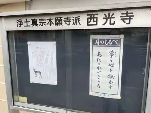 西光寺(京都府)