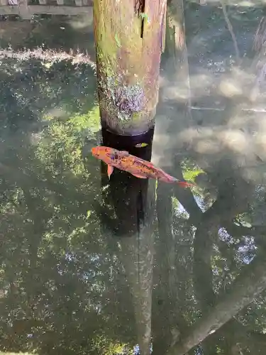 鹿島神宮(茨城県)