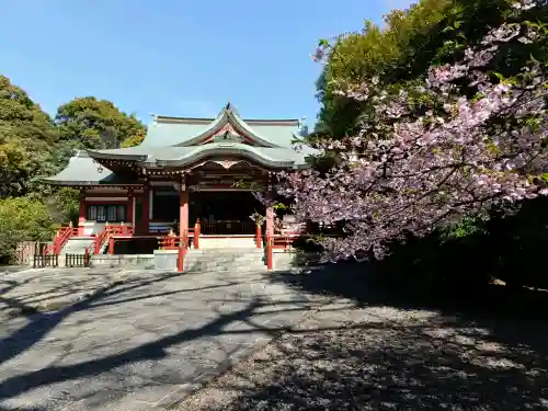 武蔵野八幡宮の{uncategorized: "未分類", other: "その他", undefined: "問題あり", building: "その他建物", grave: "お墓", sacred_gate: "鳥居", guardian: "狛犬", statue: "像", buddha: "仏像", history: "歴史", nature: "自然", garden: "庭園", animal: "動物", pagoda: "塔", temizu: "手水舎", mountain_gate: "山門・神門", sanctuary: "本殿・本堂", subordinate: "末社・摂社", art: "芸術", scenery: "景色", jizo: "地蔵", ema: "絵馬", goshuin: "御朱印", omikuji: "おみくじ", items: "授与品その他", amulet: "お守り", goshuincho: "御朱印帳", eats: "食事", festival: "お祭り", votive_dance: "神楽", shichigosan: "七五三参", wedding: "結婚式", experience: "体験その他", initially: "初詣", around: "周辺", anti_infection: "感染症対策"}