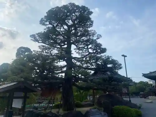 総持寺(大阪府)