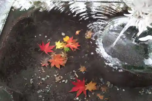 修禅寺(静岡県)