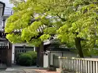 實泉院(実泉院)の山門・神門