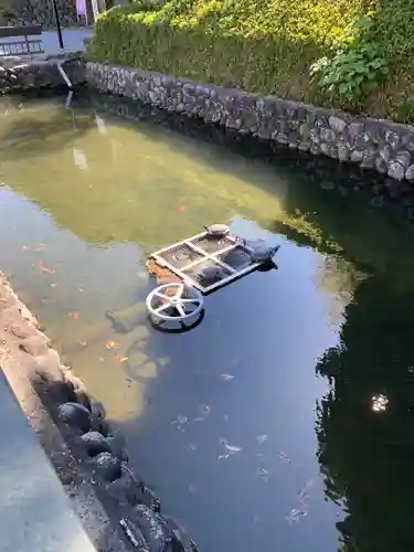 鑁阿寺(栃木県)