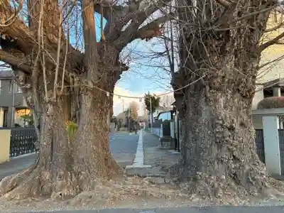 愛宕神社(千葉県)