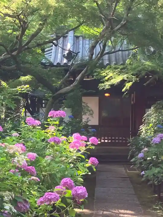 本土寺(千葉県)