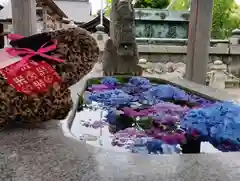 龍城神社の手水