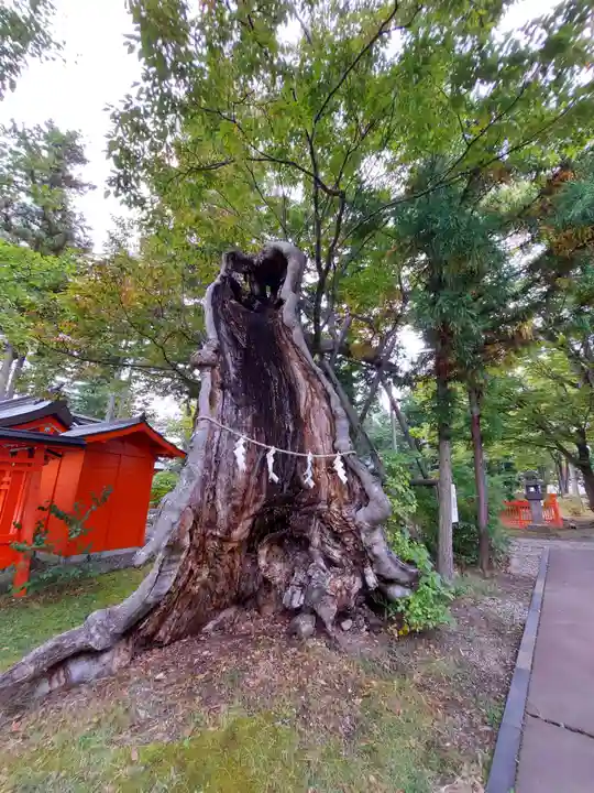 生島足島神社の自然