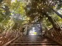 渋谷氷川神社の{uncategorized: "未分類", other: "その他", undefined: "問題あり", building: "その他建物", grave: "お墓", sacred_gate: "鳥居", guardian: "狛犬", statue: "像", buddha: "仏像", history: "歴史", nature: "自然", garden: "庭園", animal: "動物", pagoda: "塔", temizu: "手水舎", mountain_gate: "山門・神門", sanctuary: "本殿・本堂", subordinate: "末社・摂社", art: "芸術", scenery: "景色", jizo: "地蔵", ema: "絵馬", goshuin: "御朱印", omikuji: "おみくじ", items: "授与品その他", amulet: "お守り", goshuincho: "御朱印帳", eats: "食事", festival: "お祭り", votive_dance: "神楽", shichigosan: "七五三参", wedding: "結婚式", experience: "体験その他", initially: "初詣", around: "周辺", anti_infection: "感染症対策"}