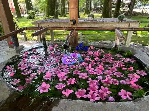 都農神社の手水