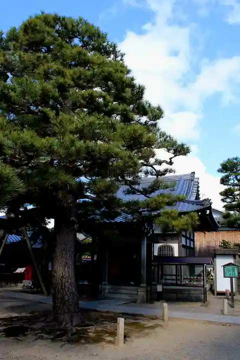 満月寺(浮御堂)の自然