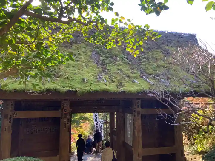 杉本寺の山門・神門