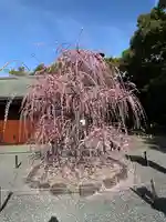 城南宮(京都府)