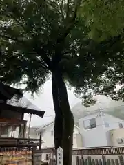 瀧宮神社(広島県)