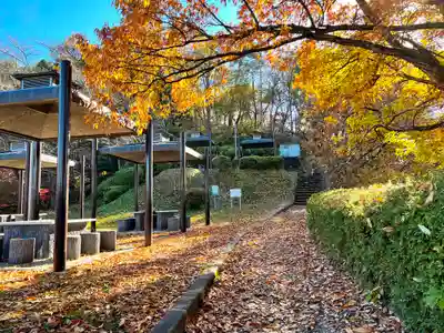 愛宕神社の自然