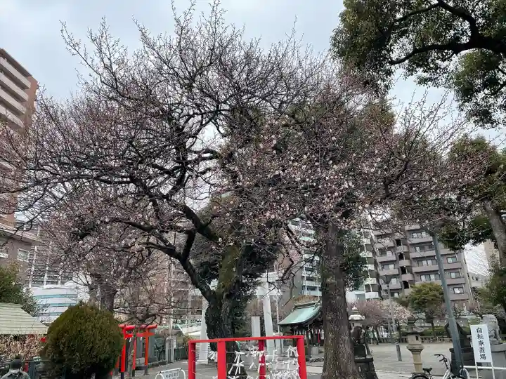 町田天満宮(東京都)