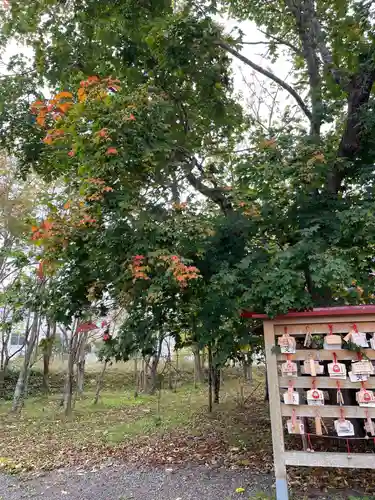 釧路一之宮 厳島神社の絵馬