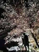 如宝寺(福島県)