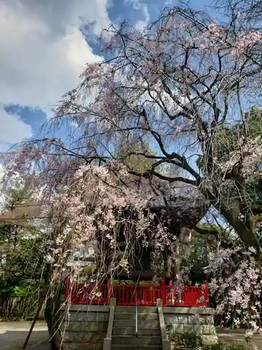 龍光寺(東京都)