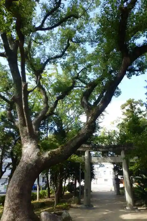 志賀神社(福岡県)