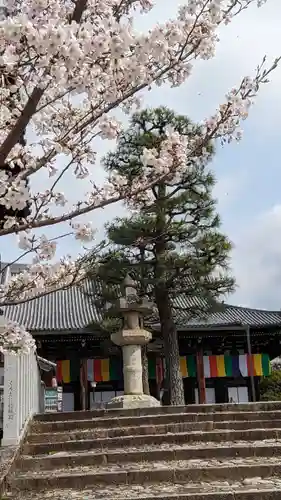 くろ谷 金戒光明寺(京都府)